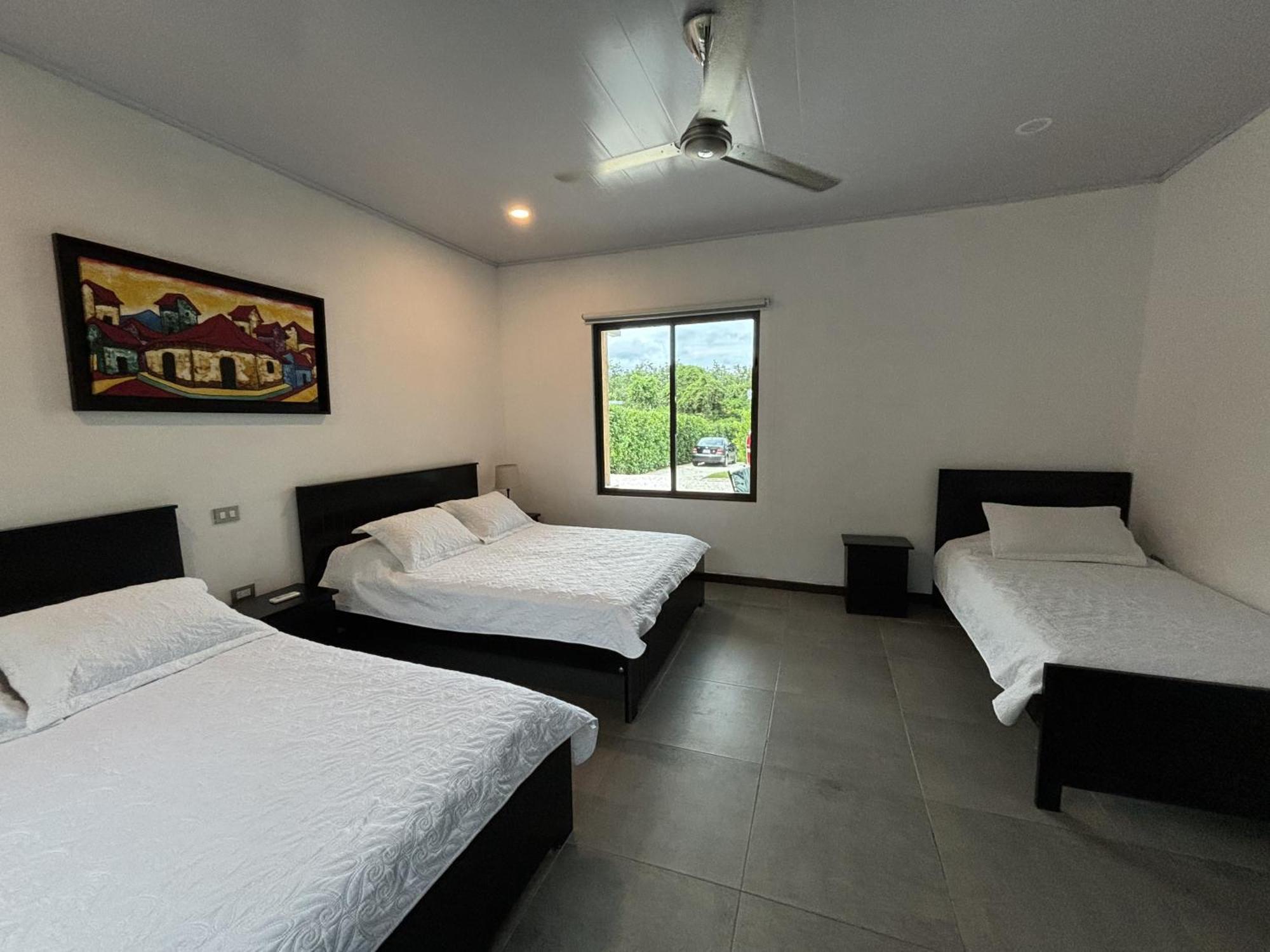 Amazilia Guesthouse Liberia Εξωτερικό φωτογραφία